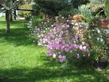 Maison de vacances �/en/au Baja Sardinia (Sassari)ou appartement ou maison de vacances