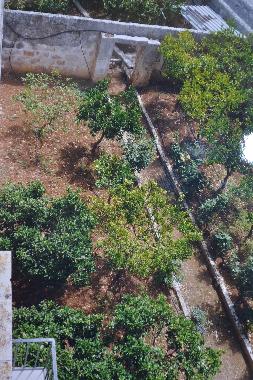 Appartement de vacances /en/au Ostuni (Brindisi)ou appartement ou maison de vacances