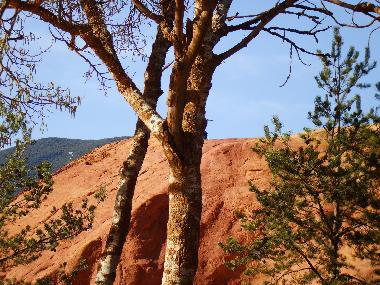 Appartement de vacances �/en/au Lacoste (Vaucluse)ou appartement ou maison de vacances