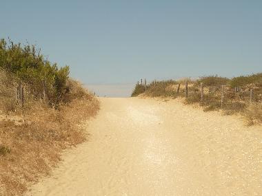 Maison de vacances �/en/au La tremblade (Charente-Maritime)ou appartement ou maison de vacances