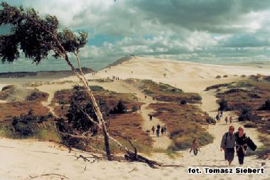 Chambre avec petit djeuner /en/au Leba (Pomorskie)ou appartement ou maison de vacances