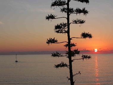 Appartement de vacances �/en/au Santa Maria Navarrese (Ogliastra)ou appartement ou maison de vacances