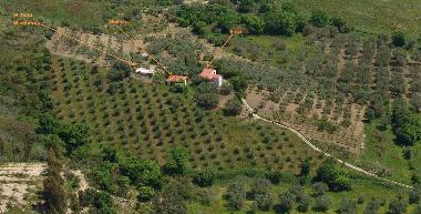 Maison de vacances �/en/au Ascea (Salerno)ou appartement ou maison de vacances