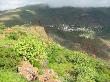 Appartement de vacances /en/au aguimes (Gran Canaria)ou appartement ou maison de vacances