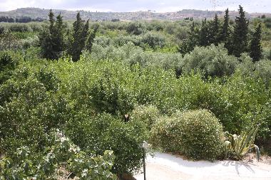 Maison de vacances /en/au Campofelice Roccella (Palermo)ou appartement ou maison de vacances
