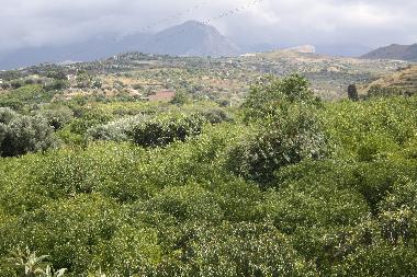 Maison de vacances /en/au Campofelice Roccella (Palermo)ou appartement ou maison de vacances