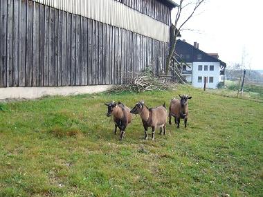 Appartement de vacances �/en/au Wei�enstadt (Oberfranken)ou appartement ou maison de vacances