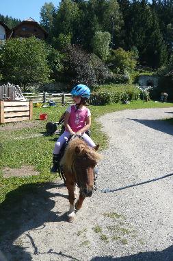 Chalet /en/au Mariapfarr (Lungau)ou appartement ou maison de vacances
