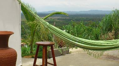 Un paradis pour les oiseaux et les singes