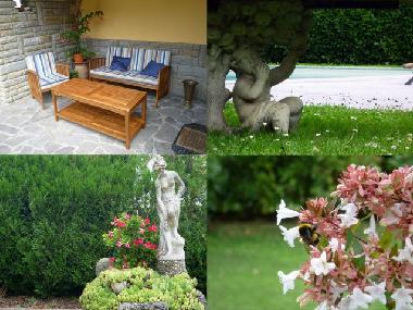 Appartement de vacances /en/au Capolona (Arezzo)ou appartement ou maison de vacances