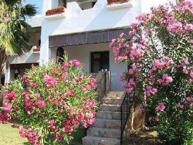 Appartement de vacances /en/au Palamutbk (Mugla)ou appartement ou maison de vacances