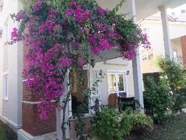 Villa /en/au yaniklar (Mugla)ou appartement ou maison de vacances