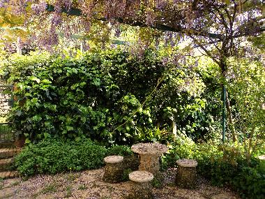 Appartement de vacances /en/au Lisciano Niccone (Perugia)ou appartement ou maison de vacances