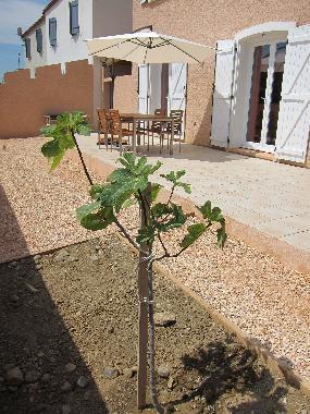 Maison de vacances �/en/au Canet d