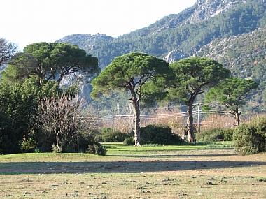 Chambre avec petit djeuner /en/au Cirali (Antalya)ou appartement ou maison de vacances