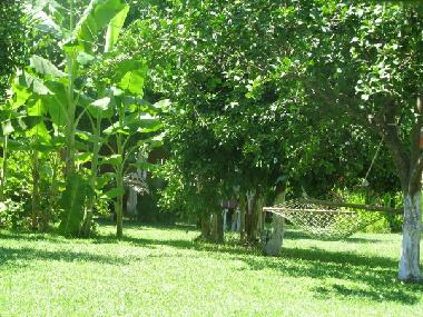 Chambre avec petit djeuner /en/au Cirali (Antalya)ou appartement ou maison de vacances