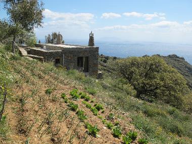 View from the garden area. The big window is beside the bed