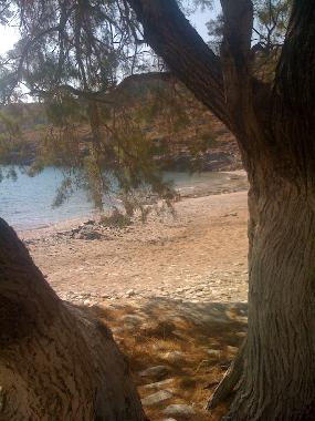 A nearby beach. A car is necessary