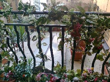 Appartement de vacances �/en/au rome (Rome)ou appartement ou maison de vacances