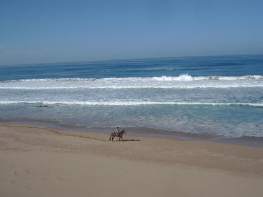 Villa �/en/au Sidi Boulfdail (Agadir)ou appartement ou maison de vacances