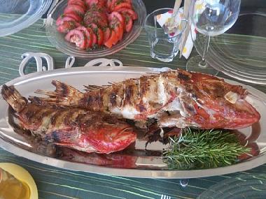 Villa �/en/au Vis (Splitsko-Dalmatinska)ou appartement ou maison de vacances