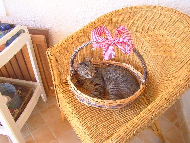 Maison de vacances /en/au Cava d