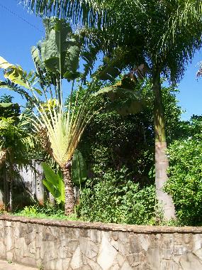 Appartement de vacances �/en/au Lambare (Central)ou appartement ou maison de vacances