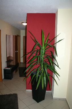 Appartement de vacances /en/au Neuschnau (Niederbayern)ou appartement ou maison de vacances