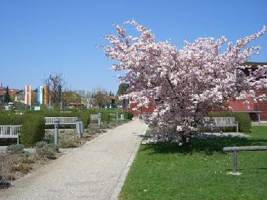 Appartement de vacances /en/au Bayerbach (Niederbayern)ou appartement ou maison de vacances