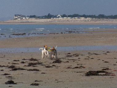 Maison de vacances �/en/au Denneville-Plage (Manche)ou appartement ou maison de vacances