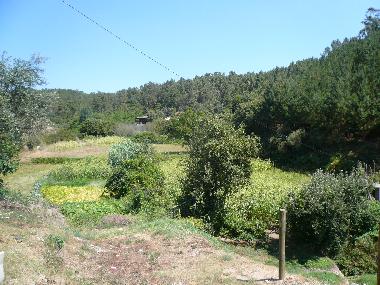 Maison de vacances �/en/au vila da cova alva (Serra da Estrela)ou appartement ou maison de vacances