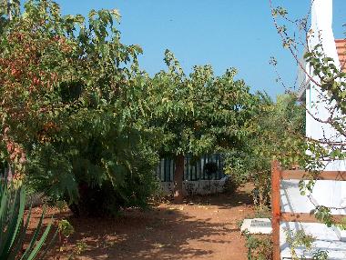 Maison de vacances /en/au Ostuni (Brindisi)ou appartement ou maison de vacances