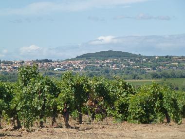 Maison de vacances �/en/au Caux (H�rault)ou appartement ou maison de vacances