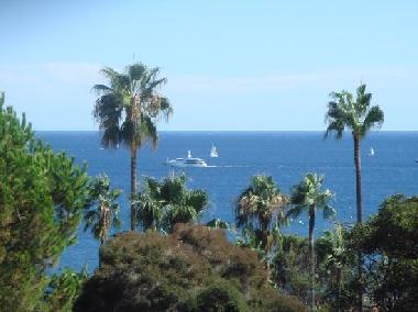 Chambre avec petit djeuner /en/au Golfe Juan (Alpes-Maritimes)ou appartement ou maison de vacances