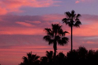 Chambre avec petit djeuner /en/au Golfe Juan (Alpes-Maritimes)ou appartement ou maison de vacances