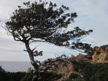 Appartement de vacances /en/au Trinit d