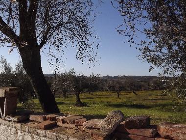 Maison de vacances �/en/au Amiera (Alto Alentejo)ou appartement ou maison de vacances