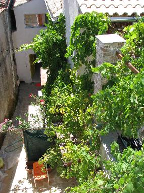Appartement de vacances �/en/au Sinarades (Kerkyra)ou appartement ou maison de vacances