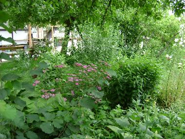 Chambre avec petit d�jeuner �/en/au Horezu (Valcea)ou appartement ou maison de vacances