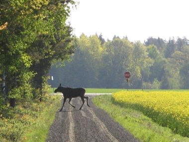 Maison de vacances �/en/au Vara (V�sterg�tland)ou appartement ou maison de vacances