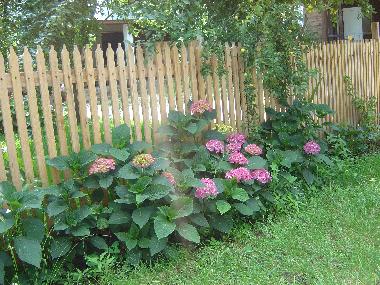 Chambre avec petit d�jeuner �/en/au Horezu (Valcea)ou appartement ou maison de vacances