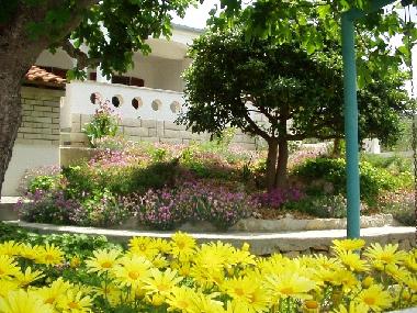 Maison de vacances /en/au Rivanj (Zadarska)ou appartement ou maison de vacances