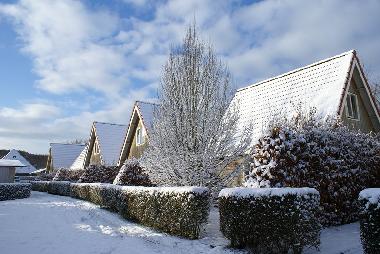 Maison de vacances /en/au Groet (Noord-Holland)ou appartement ou maison de vacances