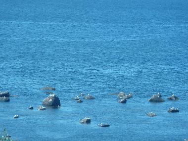 Villa �/en/au franquelin (Quebec)ou appartement ou maison de vacances