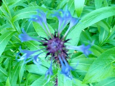 Villa �/en/au franquelin (Quebec)ou appartement ou maison de vacances