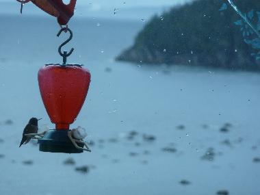 Villa �/en/au franquelin (Quebec)ou appartement ou maison de vacances