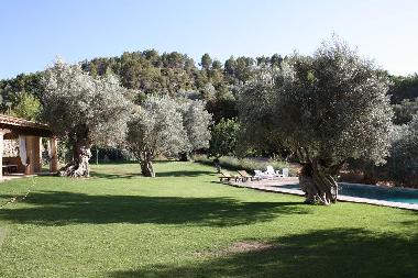 Villa /en/au selva (Mallorca)ou appartement ou maison de vacances