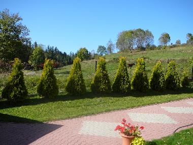 Maison de vacances /en/au Rabka Zdrj (Malopolskie)ou appartement ou maison de vacances