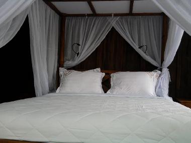 CHAMBRE AFRICA