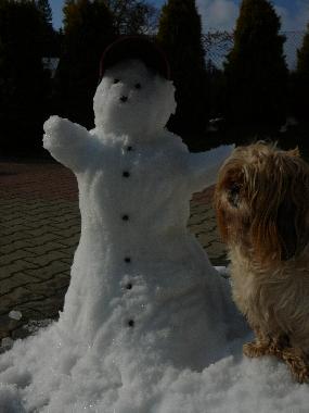 Maison de vacances /en/au Rabka Zdrj (Malopolskie)ou appartement ou maison de vacances